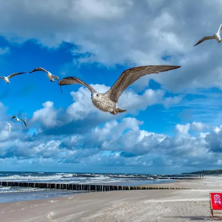 310 Z Widokiem Na Morze I Przy Plazy - 5d Daire