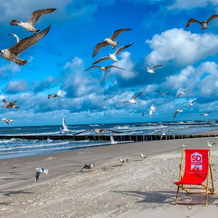 310 Z Widokiem Na Morze I Przy Plazy - 5d Daire *